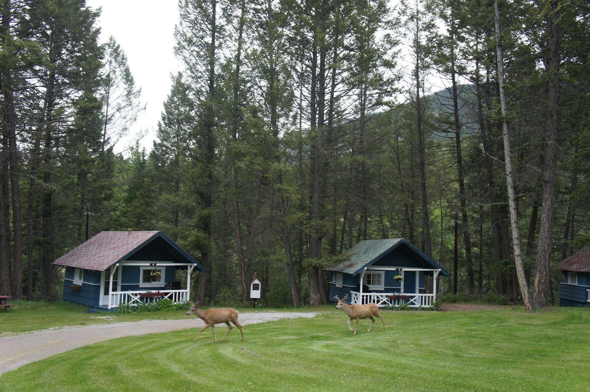 Fairmont Mountain Bungalows Fairmont Hot Springs Extérieur photo